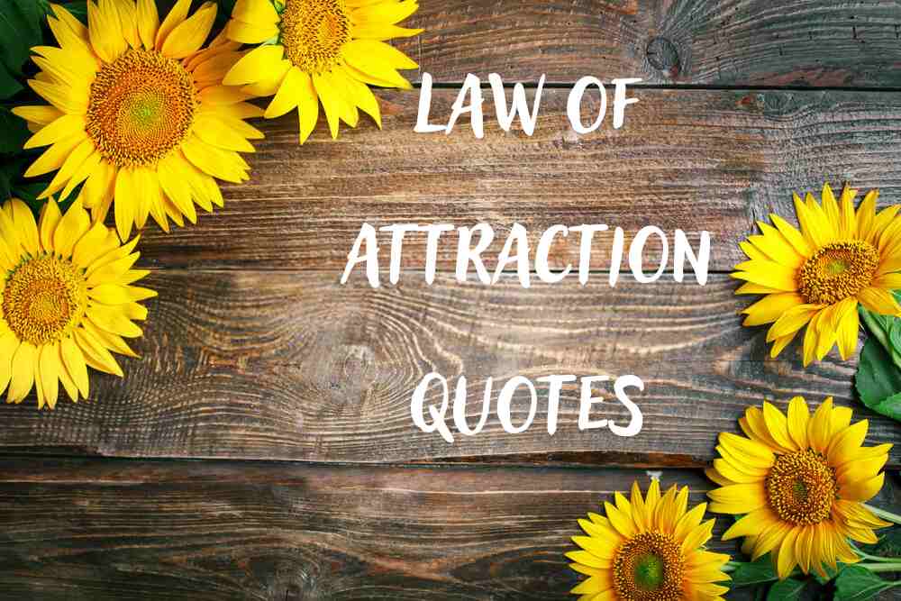 10 law of attraction quotes
